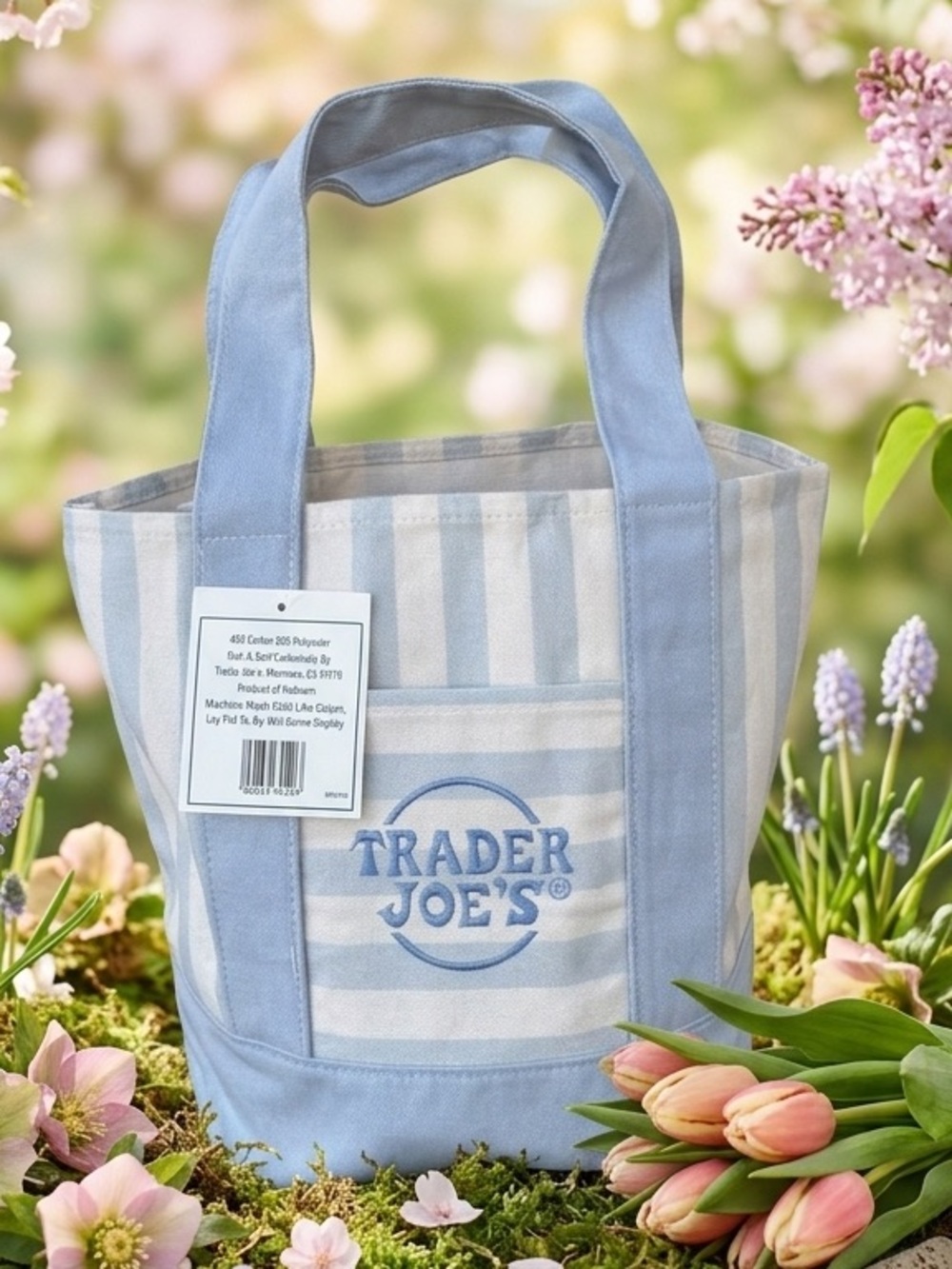 🩵 NWT Trader Joe’s Striped Mini Canvas Tote Bag | Pastel Blue | Limited Edition